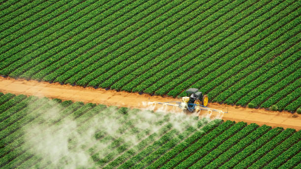 Best Termite Control Services  in Diablo Grande, CA