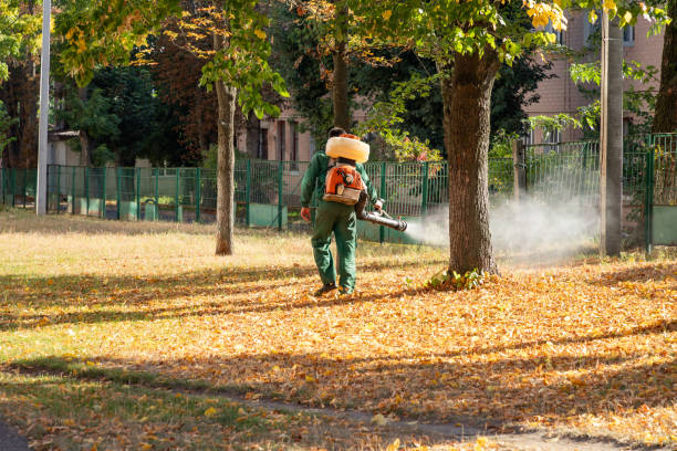 Best Emergency Pest Control  in Diablo Grande, CA