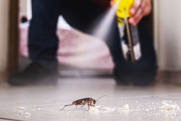 Trusted Diablo Grande, CA Pest Control Experts