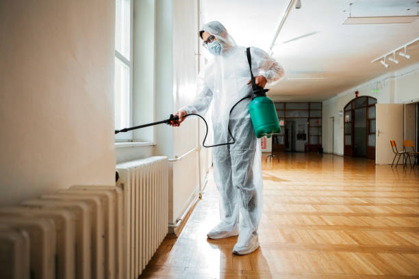 Best Rat Extermination Near Me  in Diablo Grande, CA